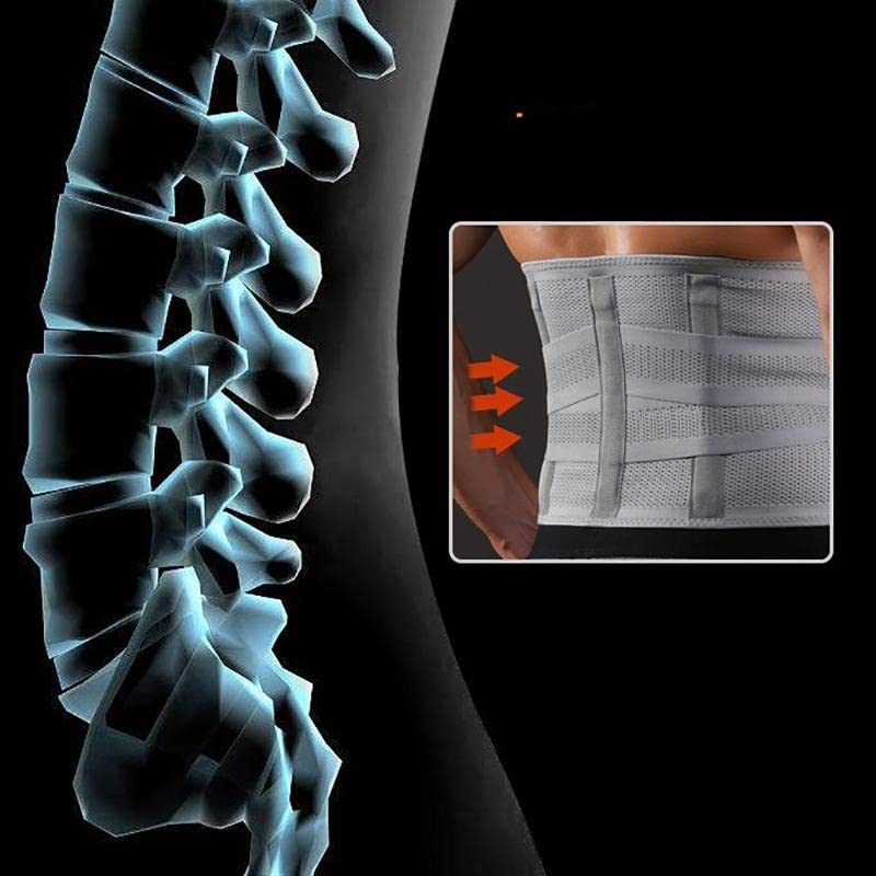 Grey Back Support Belt Contoured Lumbar Sacral L S Belt
