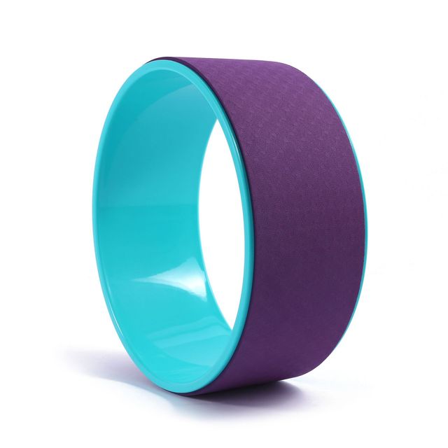 19cm Big Dot Yoga Wheel Pilates & Fitness Equipment